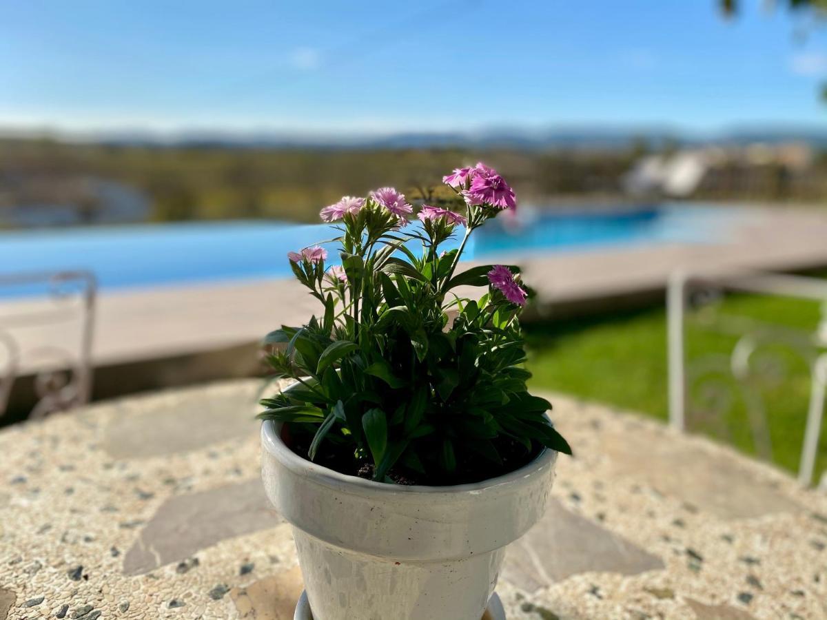 Bed & Breakfast Wine & Cooking Penedes Pla del Panades Exterior photo